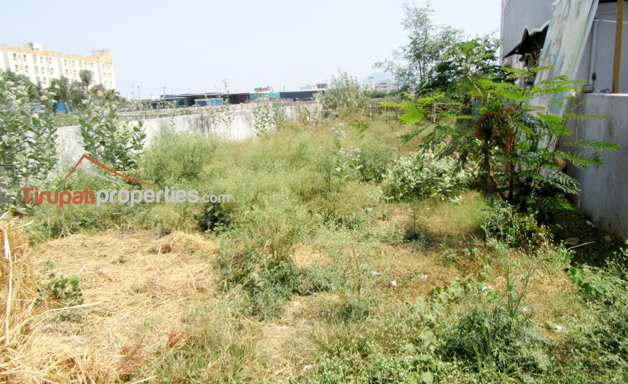 47 Anks North Facing #ReadyforConstruction #PlotforSale in Thimminaidupalem Near Mangalam Road, #Tirupati